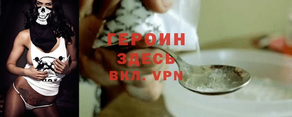 гидра Верхний Тагил